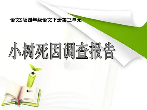 语文S版语文四下《小树死因调查报告》课件2