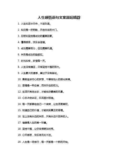 人生感悟语句文案简短精辟