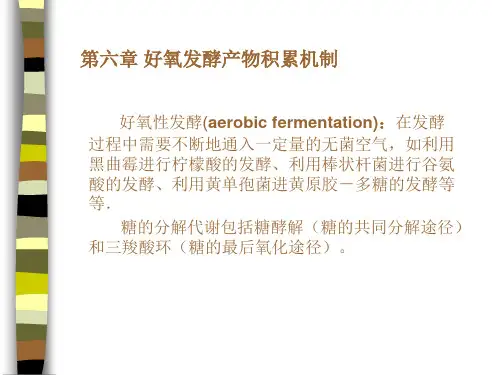第五章好氧发酵机制