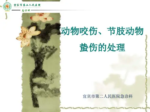 动物、节肢动物咬伤的处理