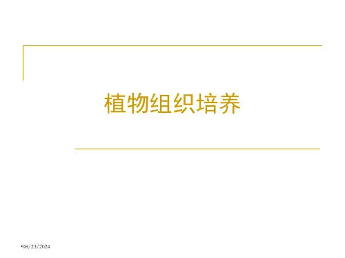 植物组织培养-绪论