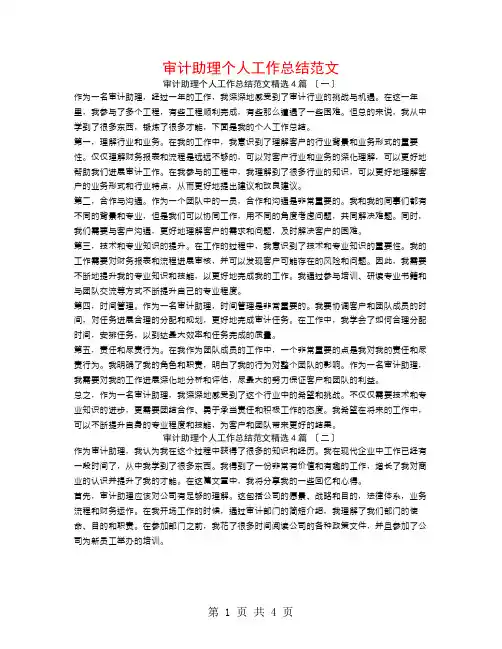 审计助理个人工作总结范文4篇