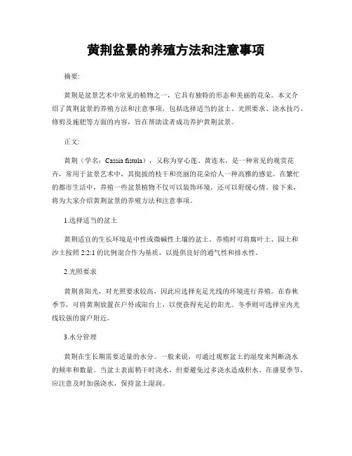 黄荆盆景的养殖方法和注意事项