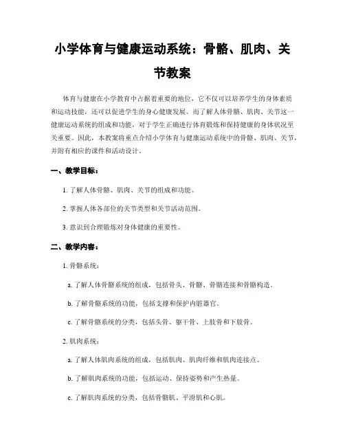 小学体育与健康运动系统：骨骼、肌肉、关节教案