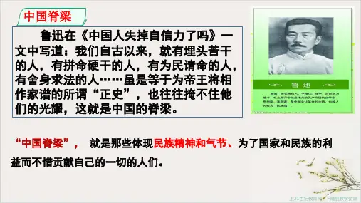人教版九年级道德与法治上第五课第二框凝聚价值追求课件(共23张PPT)
