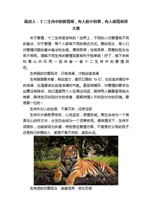 属虎人：十二生肖中的爱情观，有人胆小怕事，有人感情看得太重