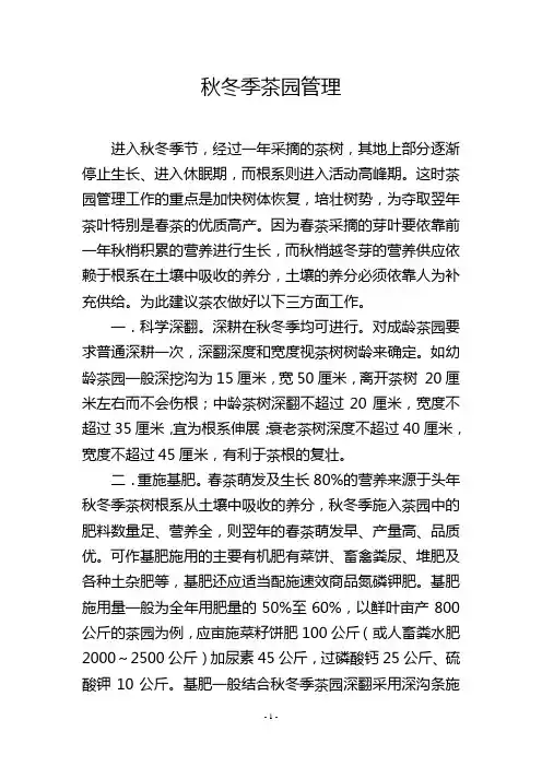 秋冬季茶园管理