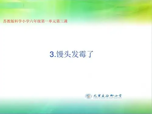 苏教版六年级上册科学课件《馒头发霉了》