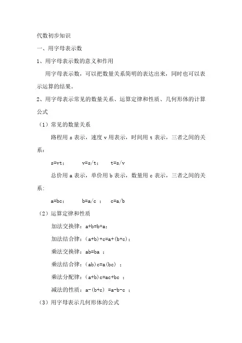 小升初数学总复习知识总计之数与代数