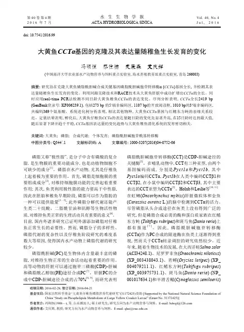 大黄鱼CCTα基因的克隆及其表达量随稚鱼生长发育的变化