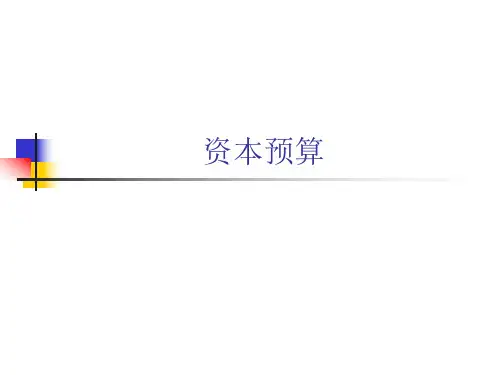 公司金融精品课件 (5)