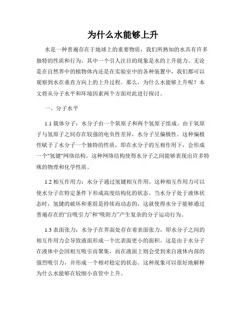 为什么水能够上升