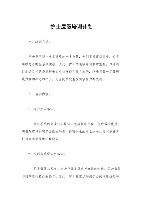 护士层级培训计划