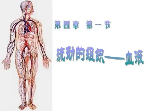 人教版七年级生物下册4.1《流动的组织--血液》课件(共24张PPT)