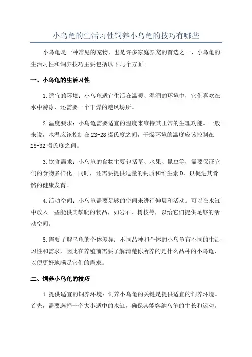 小乌龟的生活习性饲养小乌龟的技巧有哪些