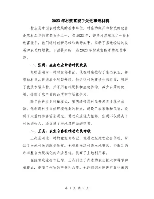 2023年村致富能手先进事迹材料