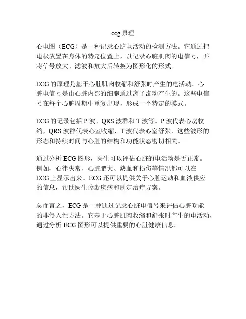 ecg原理