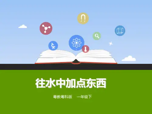 一年级下册科学课件-2往水里加点东西  粤教版(