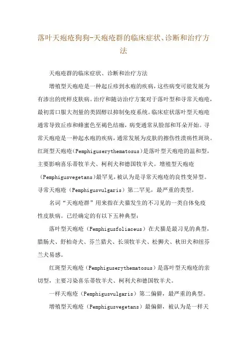 落叶天疱疮狗狗-天疱疮群的临床症状、诊断和治疗方法