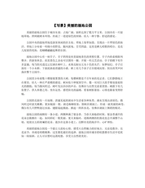 【写景】美丽的湿地公园