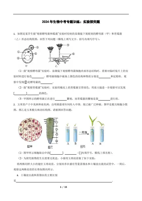 2024年生物中考专题训练：实验探究题