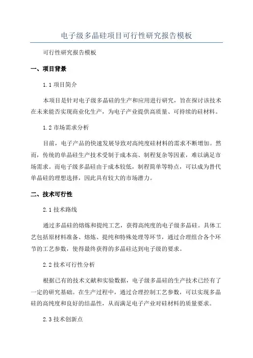 电子级多晶硅项目可行性研究报告模板