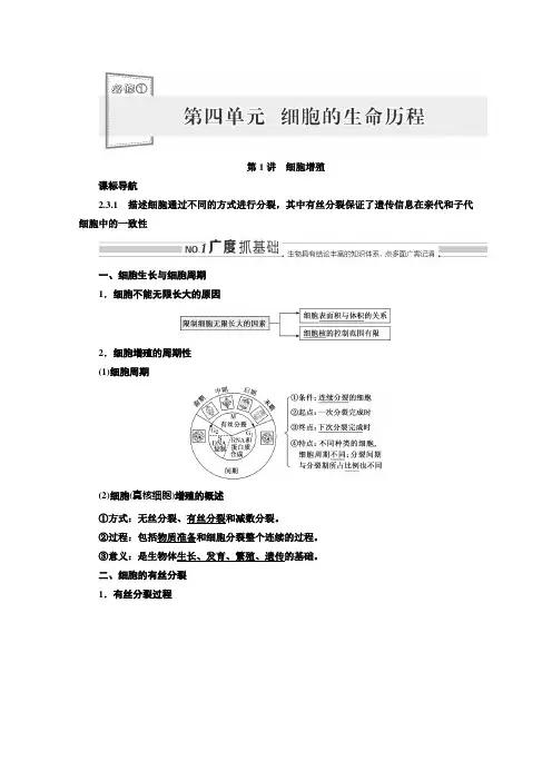 高三新高考生物人教版一轮学案必修一第四单元第1讲细胞增殖