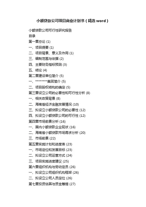 小额贷款公司项目商业计划书（精选word）