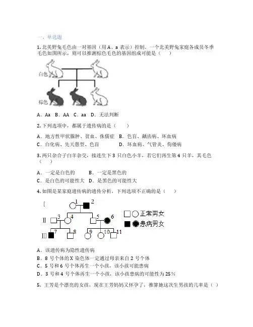 人教版生物 八年级下册 第三节 基因的显性和隐性 课后练习题