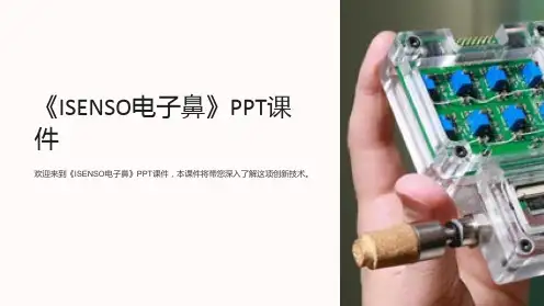 《ISENSO电子鼻》课件