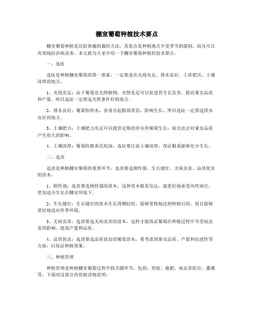 棚室葡萄种植技术要点