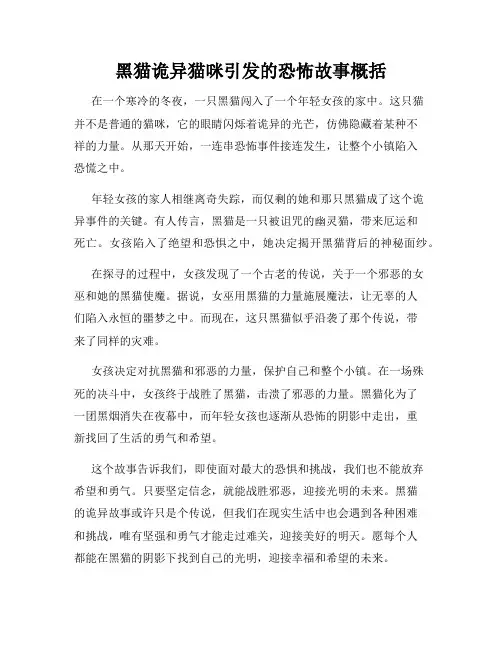黑猫诡异猫咪引发的恐怖故事概括