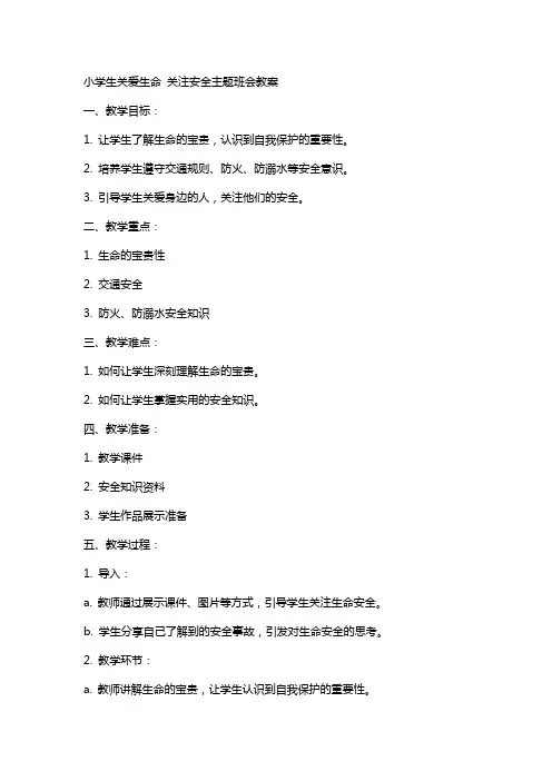 小学生关爱生命关注安全主题班会教案