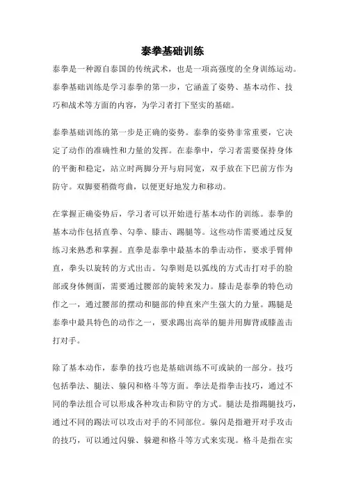 泰拳基础训练