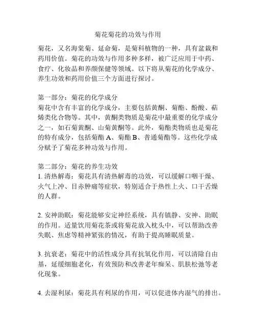 菊花菊花的功效与作用