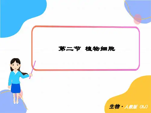 生物人教版七年级(上册)2.1.2植物细胞(共22张)(2024版新教材)
