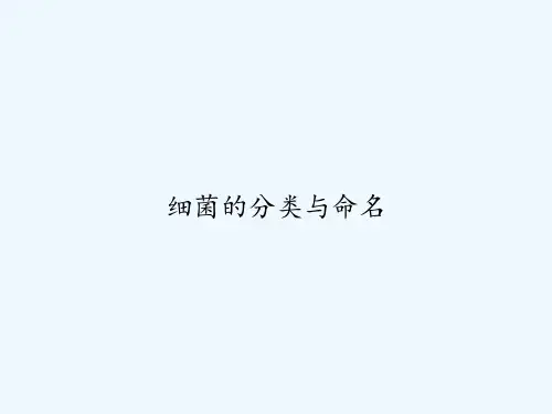 细菌的分类与命名 PPT