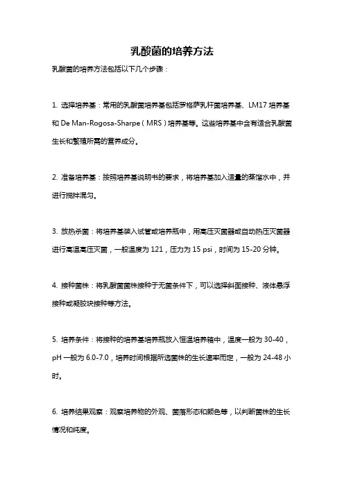 乳酸菌的培养方法