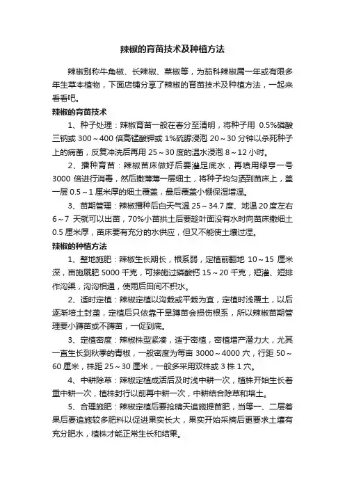 辣椒的育苗技术及种植方法