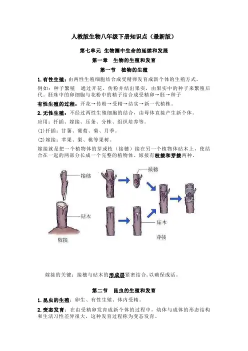 人教版生物八年级下册知识点(最新版)