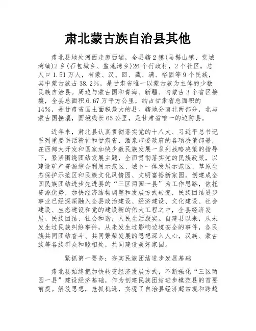 肃北蒙古族自治县其他