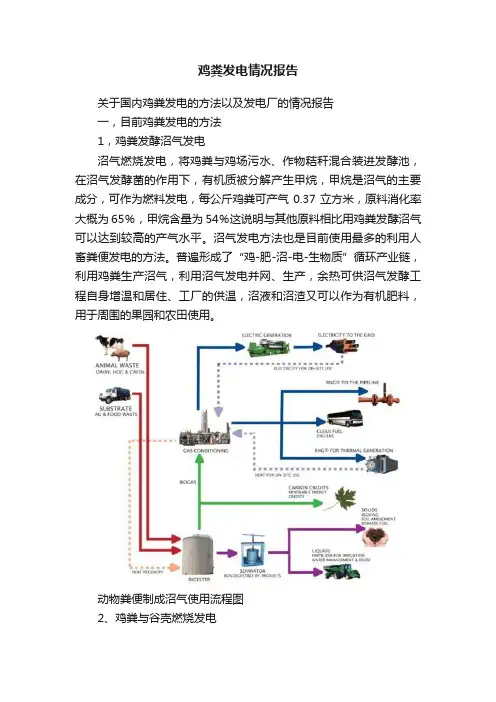 鸡粪发电情况报告