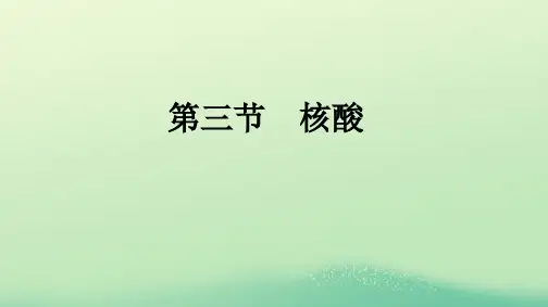 新教材高中化学第4章生物大分子第3节核酸课件新人教版选择性必修3