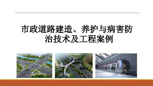 市政道路建造养护与病害防治技术及工程案例PPT