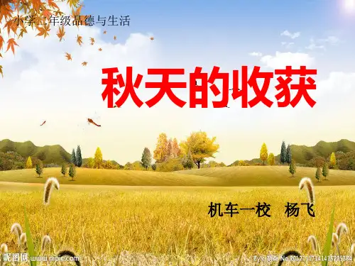 秋天的收获ppt