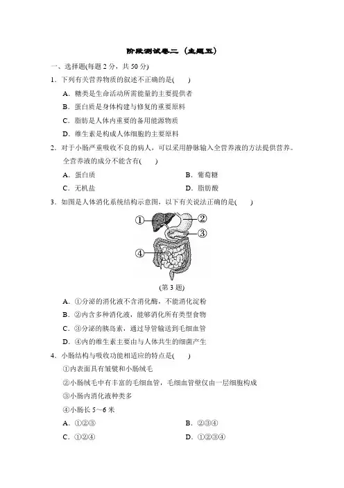 人教版中考生物一轮复习--阶段测试卷二 (人体生理与健康)