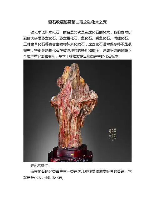奇石收藏鉴赏第三期之硅化木之变