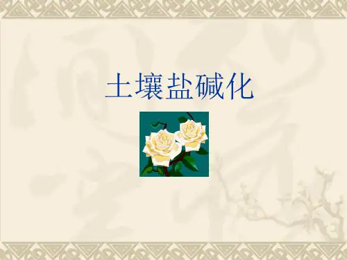 土壤盐碱化