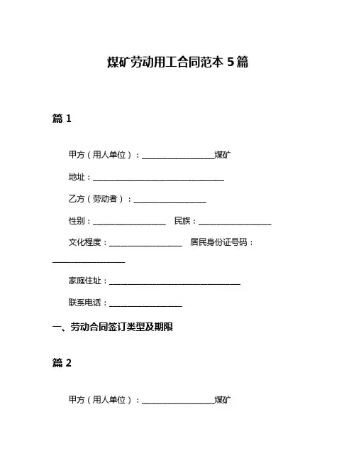 煤矿劳动用工合同范本5篇