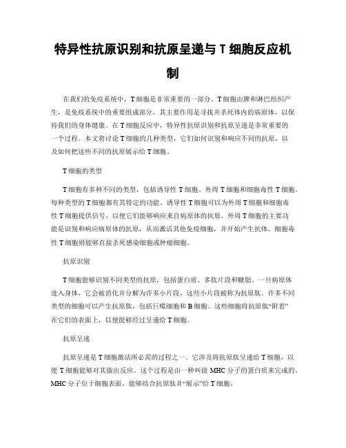 特异性抗原识别和抗原呈递与T细胞反应机制